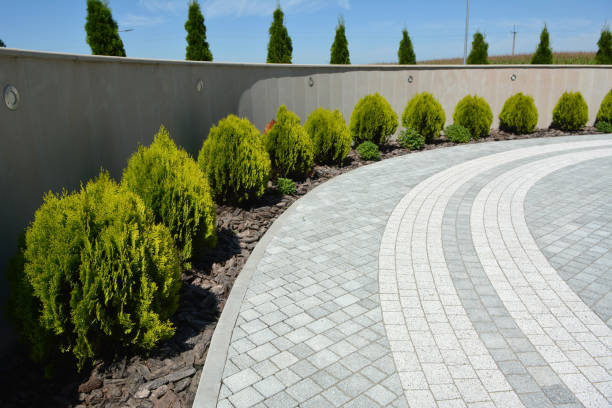 Trusted Osceola, IA Driveway Pavers Experts